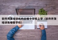 软件开发培训机构去哪个学校上学（软件开发培训有哪些学校）