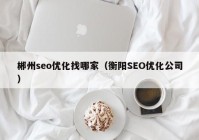 郴州seo优化找哪家（衡阳SEO优化公司）