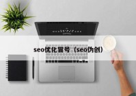 seo优化冒号（seo伪创）