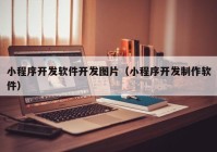 小程序开发软件开发图片（小程序开发制作软件）