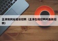 孟津微网站建设招聘（孟津在线招聘网最新招聘）