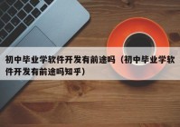 初中毕业学软件开发有前途吗（初中毕业学软件开发有前途吗知乎）