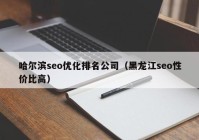 哈尔滨seo优化排名公司（黑龙江seo性价比高）