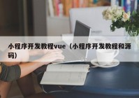 小程序开发教程vue（小程序开发教程和源码）