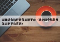 湖北综合软件开发定制平台（湖北综合软件开发定制平台官网）