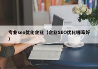 专业seo优化企业（企业SEO优化哪家好）