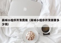 商城小程序开发费用（商城小程序开发需要多少钱）