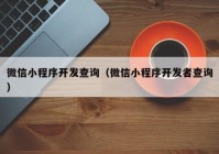 微信小程序开发查询（微信小程序开发者查询）