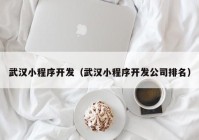 武汉小程序开发（武汉小程序开发公司排名）