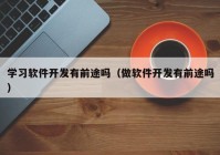 学习软件开发有前途吗（做软件开发有前途吗）