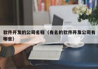 软件开发的公司名称（有名的软件开发公司有哪些）