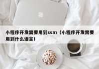 小程序开发需要用到ssm（小程序开发需要用到什么语言）