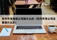 软件开发有限公司做什么的（软件开发公司主要做什么的）