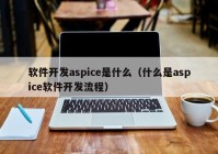 软件开发aspice是什么（什么是aspice软件开发流程）