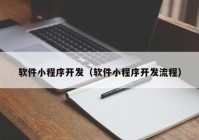 软件小程序开发（软件小程序开发流程）