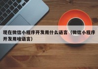 现在微信小程序开发用什么语言（微信小程序开发用啥语言）