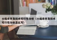 小程序开发技术可行性分析（小程序开发技术可行性分析怎么写）