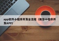 app软件小程序开发全流程（微信小程序开发APP）