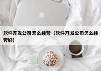 软件开发公司怎么经营（软件开发公司怎么经营好）