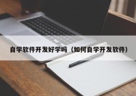 自学软件开发好学吗（如何自学开发软件）