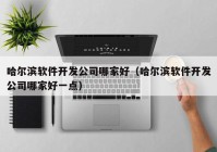 哈尔滨软件开发公司哪家好（哈尔滨软件开发公司哪家好一点）