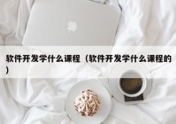 软件开发学什么课程（软件开发学什么课程的）