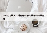 seo优化从入门到精通的十大技巧的简单介绍