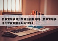 初中生学软件开发就业前景好吗（初中生学软件开发就业前景好吗知乎）