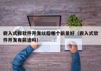 嵌入式和软件开发以后哪个前景好（嵌入式软件开发有前途吗）