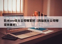 彭水seo优化公司哪家好（网站优化公司哪家效果好）