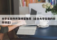 大学生软件开发项目推荐（适合大学生做的软件项目）