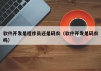 软件开发是程序员还是码农（软件开发是码农吗）