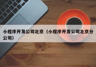 小程序开发公司北京（小程序开发公司北京分公司）