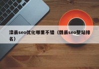 滦县seo优化哪里不错（魏县seo整站排名）