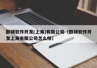 群硕软件开发(上海)有限公司（群硕软件开发上海有限公司怎么样）