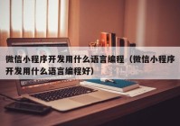 微信小程序开发用什么语言编程（微信小程序开发用什么语言编程好）