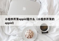 小程序开发appid是什么（小程序开发的appid）