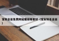 宝安企业免费网站建设哪里好（宝安知名企业）