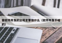 做软件开发的公司主要做什么（软件开发干啥的）